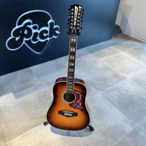 EKO RANGER 12 CORDE ACUSTICA USATO